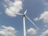 eoliene Câştiguri mari din energia eoliană