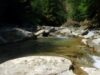 "Un parc pentru tine!"- Parcul Natural Putna-Vrancea, pus in valoare cu bani europeni