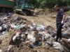 Garda de Mediu Gorj a dat amenzi de aproape 100.000 de lei în ultima săptămână. Vezi aici neregulile depistate