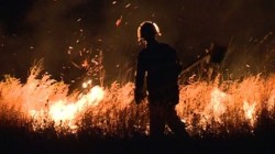 incendiu delta
