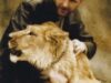Un pictor ucrainean îşi va petrece 35 de zile în cuşcă cu o leoaică gestantă