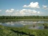lunca muresului Parcul Natural Lunca Mureșului este una dintre cele mai interesante destinații turistice