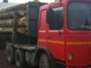 padure Dosar penal pentru ca a taiat 42 de fagi din propria padure