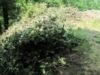 Zeci de hectare de păduri private au fost tăiate la ras
