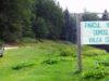 Forumul Naţional al Ecologiştilor din PSD solicită ministerului mediului să revoce avizul pentru DN 66A