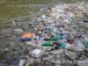 peturi Pe 16 martie, în Piaţa Palatului, adu cât mai multe PET-uri şi poţi ajuta Iaşul să devină capitala Earth Hour România