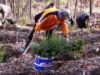 Mişcarea „Plantăm fapte bune în România” împădureşte, în toamnă, Argeşul