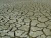 Lumea, aproape de apocalipsa ecologică. Cât ne costă