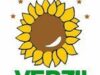 Partidul Verde şi-a prezentat programul electoral pentru mandatul 2012-2016