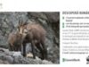 Expozitia outdoor "Romania salbatica", autor Dan Dinu