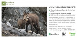 Expozitia outdoor "Romania salbatica", autor Dan Dinu