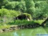 Delta Dun?rii ?i alte destina?ii turistice din jude?ul Tulcea au fost prezentate la Târgul de turism de la Londra