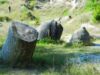 134327maxim Natura, cel mai iscusit dintre sculptori