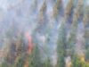 Incendiile de pădure din Chile au ucis şase pompieri