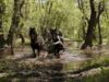 De Ziua Mondială a Zonelor Umede, Salvați Delta atenționează asupra atacului vânătorilor și a incapacității de a ne proteja Delta