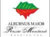 alburnus maior Alburnus Maior