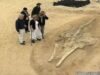 Scheletele a 75 de balene despre care se crede că au peste două milioane de ani au fost descoperite în deşertul Atacama din Chile