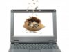 bani laptop Absorbția fondurilor UE, ar putea fi accelerată de utilizarea documentelor virtuale şi a semnăturii electronice