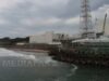 Numărul păsărilor a scăzut rapid în jurul centralei nucleare nucleare de la Fukusima