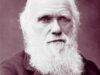 Teoria lui Darwin confirmată: viața a apărut pe uscat în zonele umede