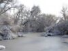 Temperaturile scăzute din ultima săptămână au schimbat total peisajele din Rezervaţia Biosferei Delta Dunării