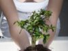 Eco sex - Cum afecteaza viata sexuala mediul inconjurator?