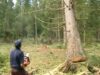Iarnă siberiană din ultimele săptămâni este rezultat al fenomenului de încălzire globală, tot mai accelerat în ultimii ani.