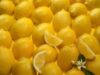 Lamaia - Vitamina C, vitamina B, riboflavina, calciu, fosfor, magneziu, proteine si hidrati de carbon