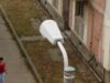 Arad: De la lămpile cu ulei la lămpile ecologice