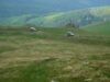 natura 2000 Juniorii pot fi rangeri in situl Natura 2000