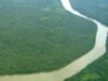 paduri Padurea amazoniana a fost cartografiata in amanuntime