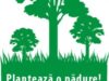 Planteaza o padure!