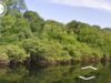 Google Street View include imagini cu raul Rio Negro, cu vegetatia luxurianta din padure si cu cateva sate din zona.