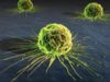 Cancerul si alte boli nu se transmit genetic