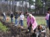 Luna Pădurii nu înseamnă numai plantare de arbori, ci și semănături în pepinierii ori solarii