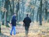 Pădurar cercetat pentru un prejudiciu de un miliard de lei