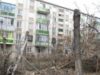 taieri-arbori-3-600x400 Cine taie copacii fara acordul primariei risca amenzi
