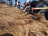 tasuleasa Voluntarii Fundaţiei Tăşuleasa Social îşi propun să planteze 25 de mii de puieţi