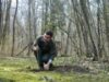 O lizieră de pădure cu 30 de puieţi de stejar roşu au fost plantaţi de reprezentanţi ai presei şi ai Prefecturii Arad