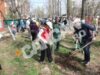 Primăria Municipiului Bucureşti continuă şi în acest an strategia pe termen lung de "înverzire" a oraşului