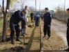 Jandarmii gălăţeni au sădit 100 de platani pe Faleza Inferioară a Dunării în cadrul acţiunii „Şi nouă ne pasă de natură!”