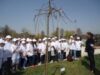 Concurs interşcolar organizat de Comisariatul Regional de Mediu Suceava