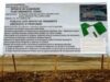 În acest an vor începe lucrările de execuție la parcul eolian din satul Cîrlig, comuna Dulcești.