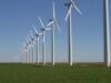 Energia regenerabilă, agricultura şi mediul - priorităţile Camerei de Comerţ Italiană pentru România în 2012