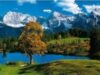 alpii-bavarezi Accelerarea procesului de încălzire climatică creează un stres semnificativ asupra plantelor care cresc pe munţii din Europa