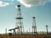 Bio Romania: Cresterea pretului la petrol, un sprijin pentru agricultura ecologica