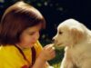 Asociaţia reşiţeană Dogs Center vă invita la un nou targ de adoptii