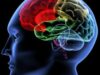 Materialul genetic afectat favorizează impatranirea cerebrală