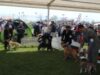 International Dog Show la Satu Mare International Dog Show la Satu Mare