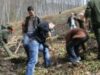 Ocolul Silvic Stejarul a demarat programul de impadurire pe o suprafata totala de trei hectare Ocolul Silvic Stejarul a demarat programul de impadurire pe o suprafata totala de trei hectare